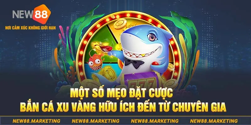 kinh79 casino LÀ GÌ