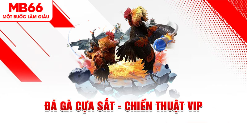 ku sòng bạc LÀ GÌ
